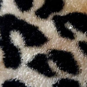 Meet your Posher, Prit